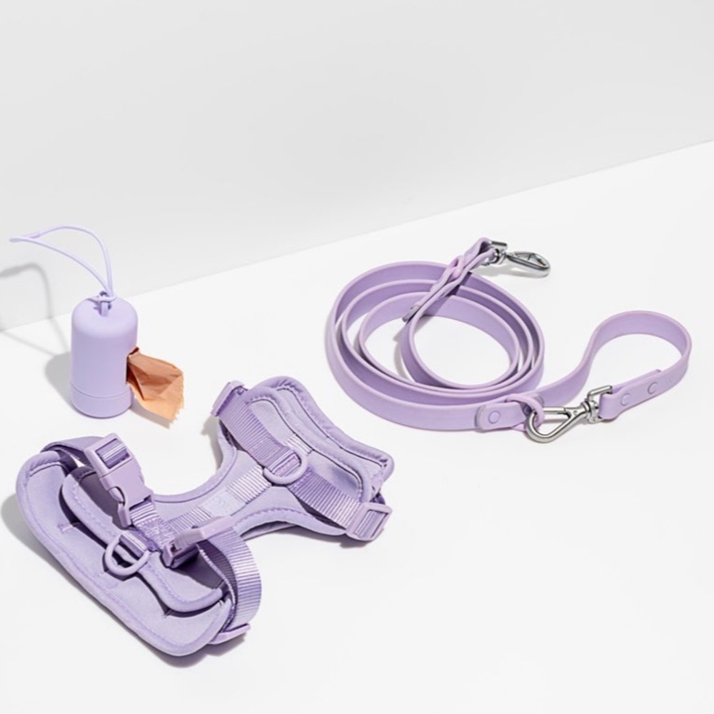 Wild One Harness Walk Kit